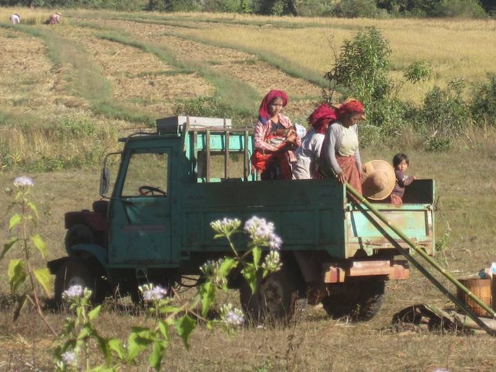 Traditionally dressed women getting out of a truck to start the days work.
